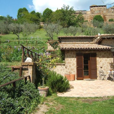 B&B Casaselita Orvieto Zewnętrze zdjęcie