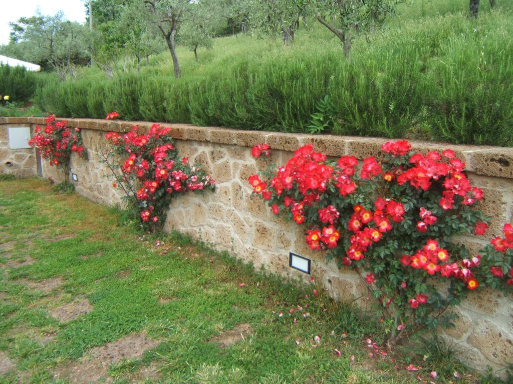 B&B Casaselita Orvieto Zewnętrze zdjęcie